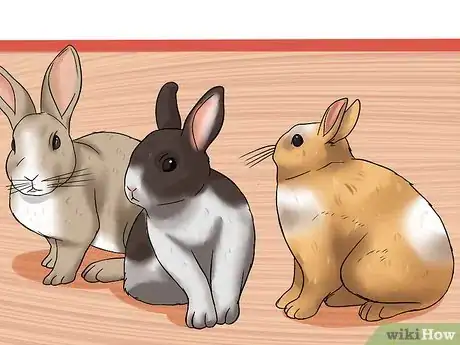Imagen titulada Care for a House Rabbit Step 5