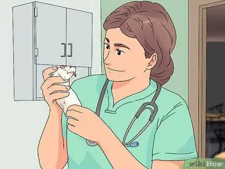 Imagen titulada Take Care of a Paralyzed Rat Step 2
