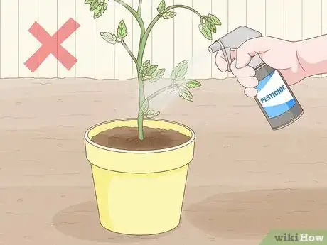 Imagen titulada Get Rid of Red Spider Mites Organically Step 4