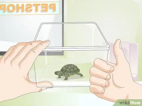 Imagen titulada Keep a Turtle Healthy Step 10