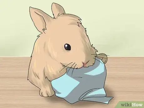 Imagen titulada Make Homemade Rabbit Toys Step 7