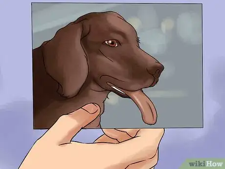 Imagen titulada Paint a Portrait of a Dog Step 3