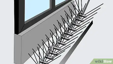 Imagen titulada Get Rid of Pigeons Step 1