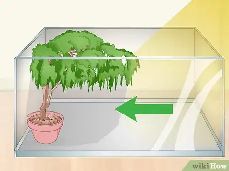 Imagen titulada Care for an Eastern Box Turtle Step 7