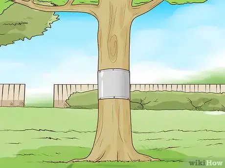 Imagen titulada Get Rid of Squirrels Step 4