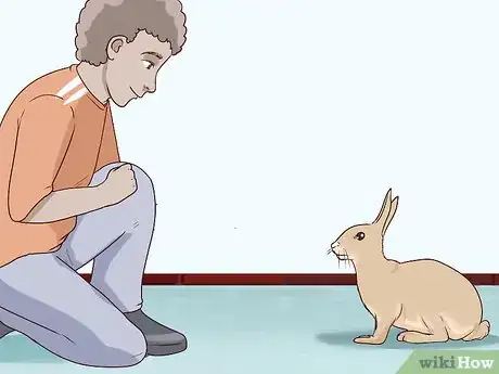 Imagen titulada Pet a Rabbit Step 2