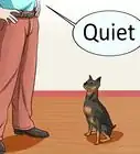 entrenar perros para que no ladren