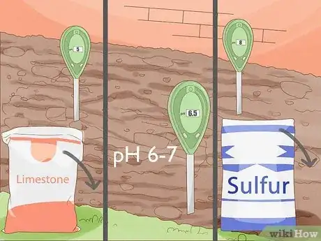 Imagen titulada Plant Bulbs in Grass Step 1
