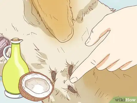 Imagen titulada Remove Sticky Barbed Seeds from Your Dog's Fur Coat Step 3
