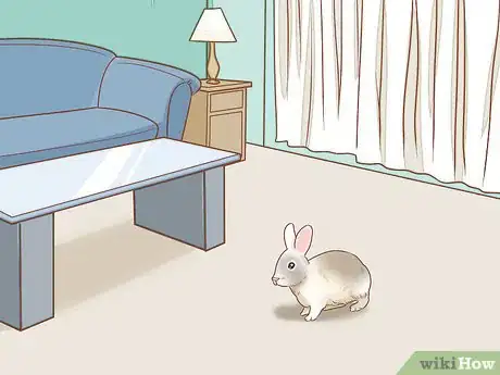 Imagen titulada Set up a Rabbit Cage Step 10