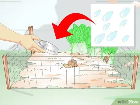 Imagen titulada Build a Snail House Step 6