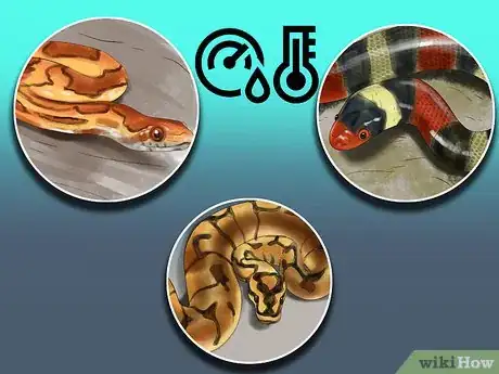 Imagen titulada Get a Pet Snake Step 15