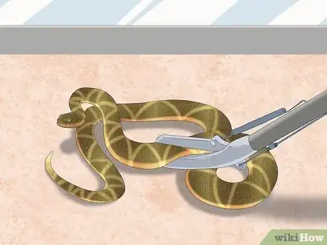 Imagen titulada Hold a Snake Step 9