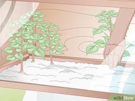 Imagen titulada Build a Snake Cage Step 11