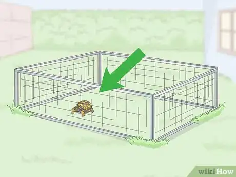 Imagen titulada Care for an Eastern Box Turtle Step 4