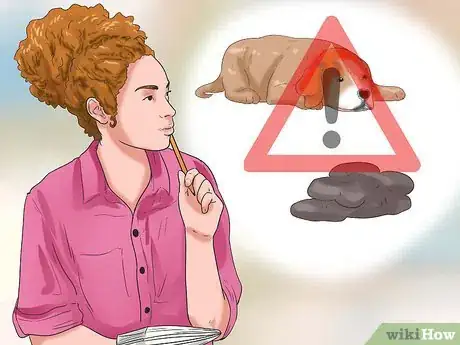 Imagen titulada Prevent Parvovirus in Dogs Step 12