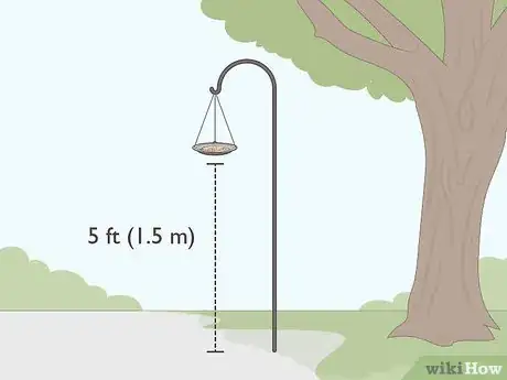 Imagen titulada Attract Pigeons Step 3
