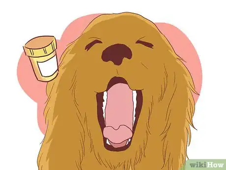 Imagen titulada Help Your Dog Deal with the Death of Another Dog Step 10