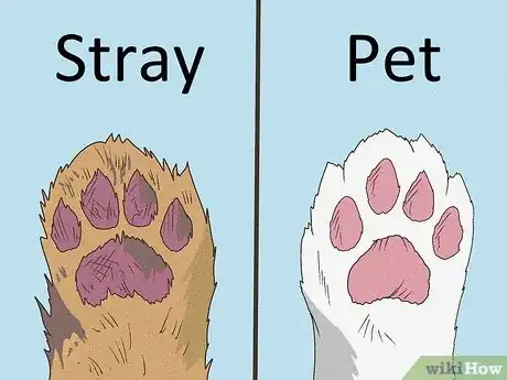 Imagen titulada Handle a Stray Cat Step 1
