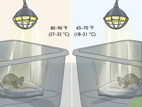 Imagen titulada Make A Habitat for Hermann’s Tortoises Step 6