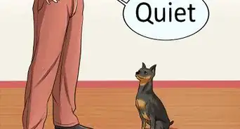 entrenar perros para que no ladren