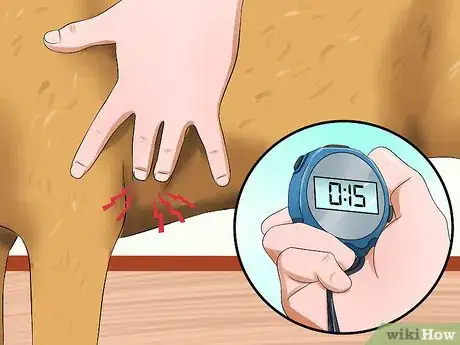 Imagen titulada Measure a Dog's Pulse Step 6