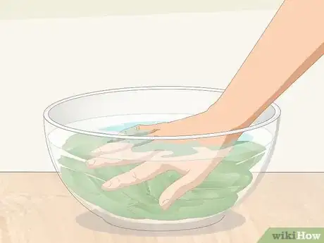 Imagen titulada Wash Spinach Step 8