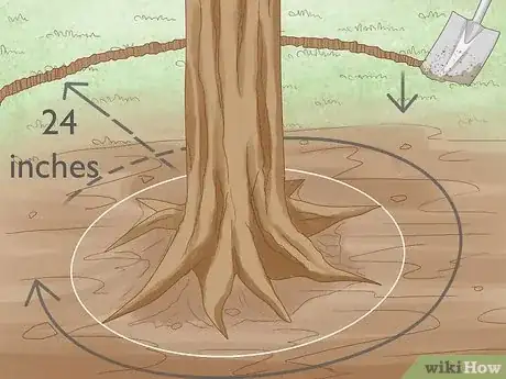 Imagen titulada Create Tree Flower Beds Step 6