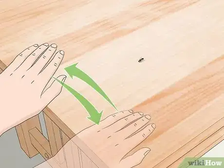 Imagen titulada Catch a Fly With Your Hands Step 10