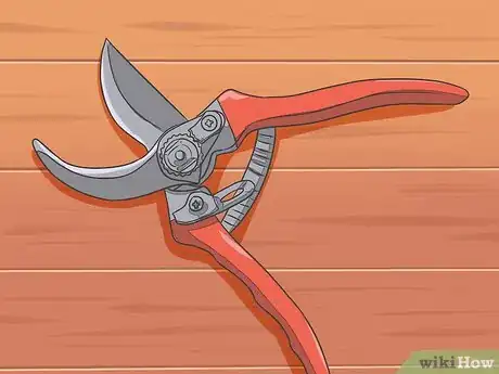 Imagen titulada Save a Dying Rose Bush Step 5