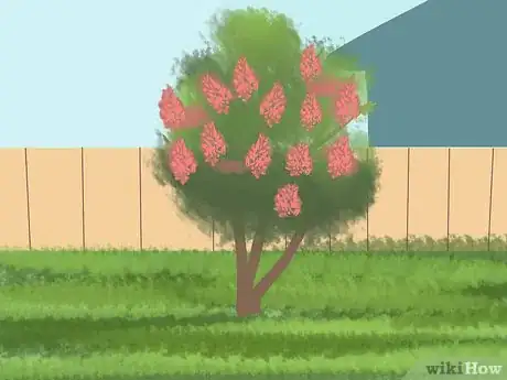 Imagen titulada Prune a Crepe Myrtle Step 3