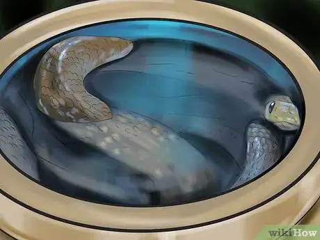 Imagen titulada Get a Pet Snake Step 11
