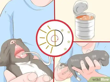 Imagen titulada Save a Newborn Puppy with a Cleft Palate Step 4