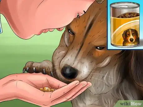 Imagen titulada Get a Dog to Vomit Step 3