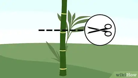 Imagen titulada Prune Bamboo Step 5