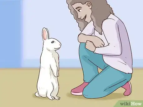 Imagen titulada Pet a Rabbit Step 6