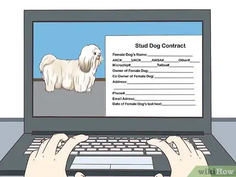 Imagen titulada Breed Shih Tzus Step 7