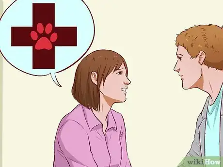 Imagen titulada Cure a Cat of Constipation Step 12