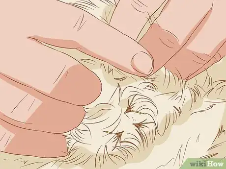 Imagen titulada Remove Sticky Barbed Seeds from Your Dog's Fur Coat Step 6