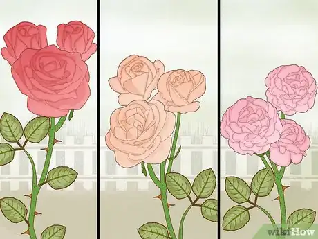 Imagen titulada Protect Roses in the Winter Step 5