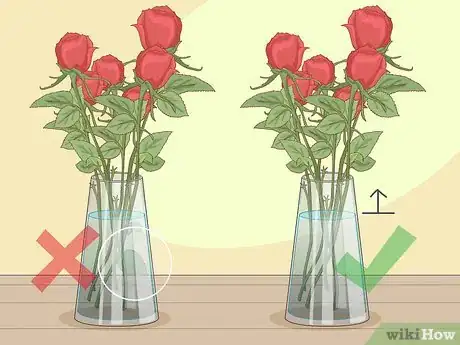 Imagen titulada Revive Roses Step 9