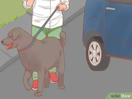 Imagen titulada Travel by Car with Your Dog Step 10