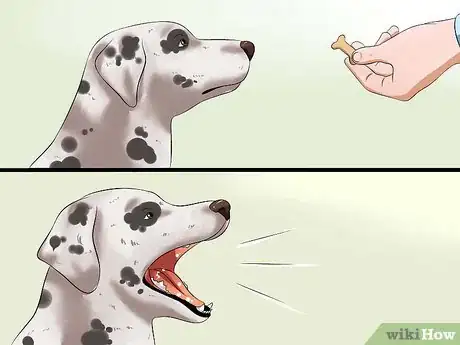 Imagen titulada Teach Your Dog to Speak Step 4