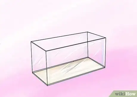 Imagen titulada Take Care of Ghost Shrimp Step 1