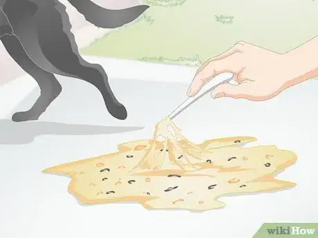 Imagen titulada Diagnose Yellow Foamy Vomit in Dogs Step 2