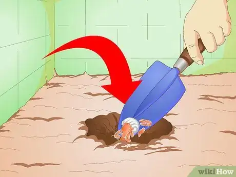 Imagen titulada Know when Your Hermit Crab Is Dead Step 11