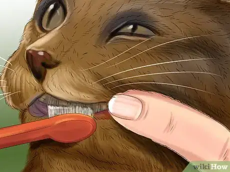 Imagen titulada Stop Your Cat from Drooling Step 4
