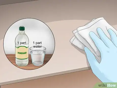 Imagen titulada Get Rid of Pantry Bugs Step 5