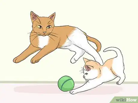 Imagen titulada Stop an Older Cat from Attacking a Kitten Step 10