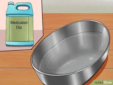 Imagen titulada Kill Fleas on Dogs Step 4